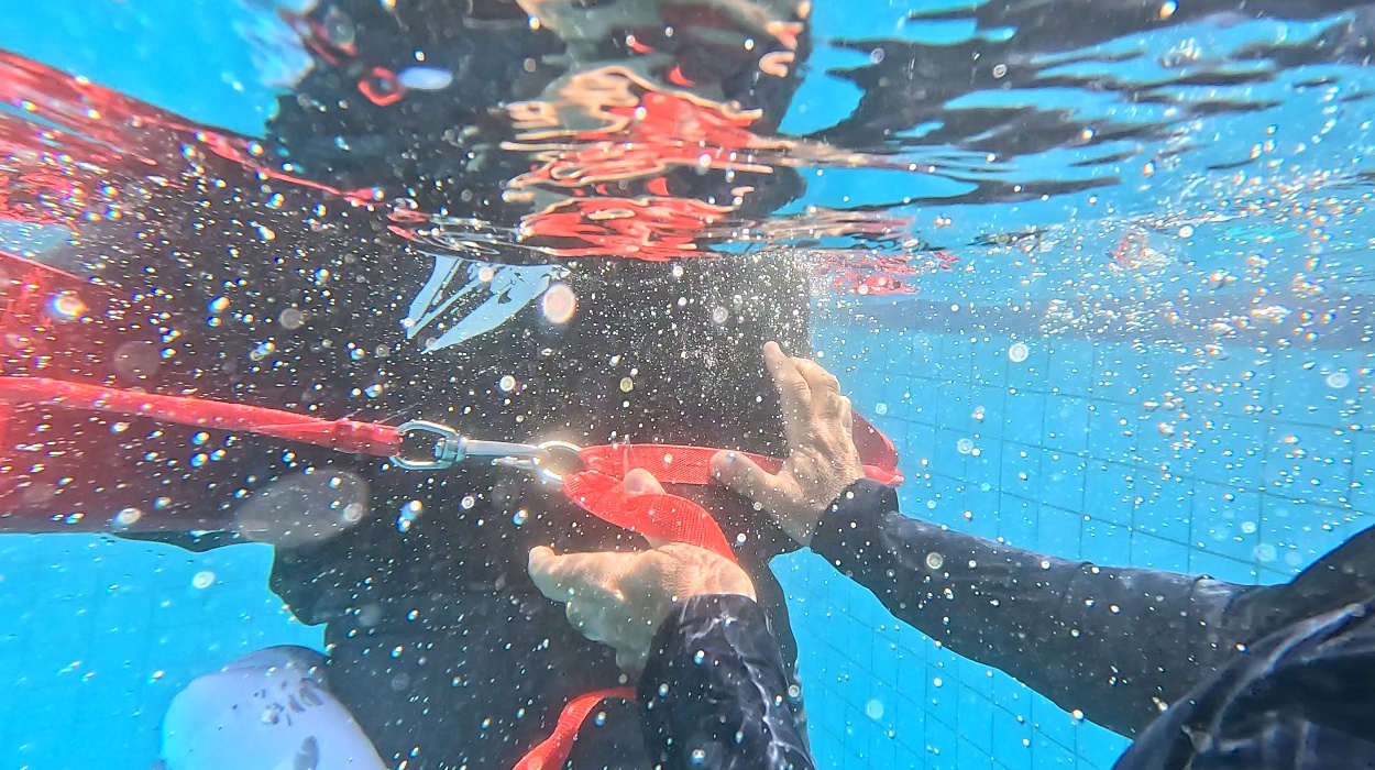 GRUPO OMG - CTO - Piscina 2